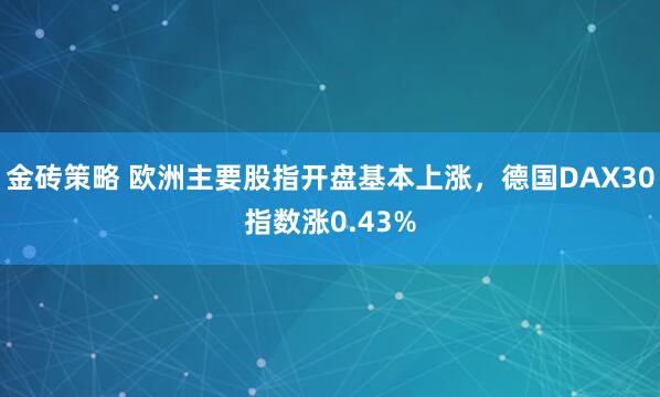 金砖策略 欧洲主要股指开盘基本上涨，德国DAX30指数涨0.43%